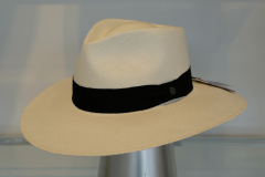 8H130 Traveller white-10